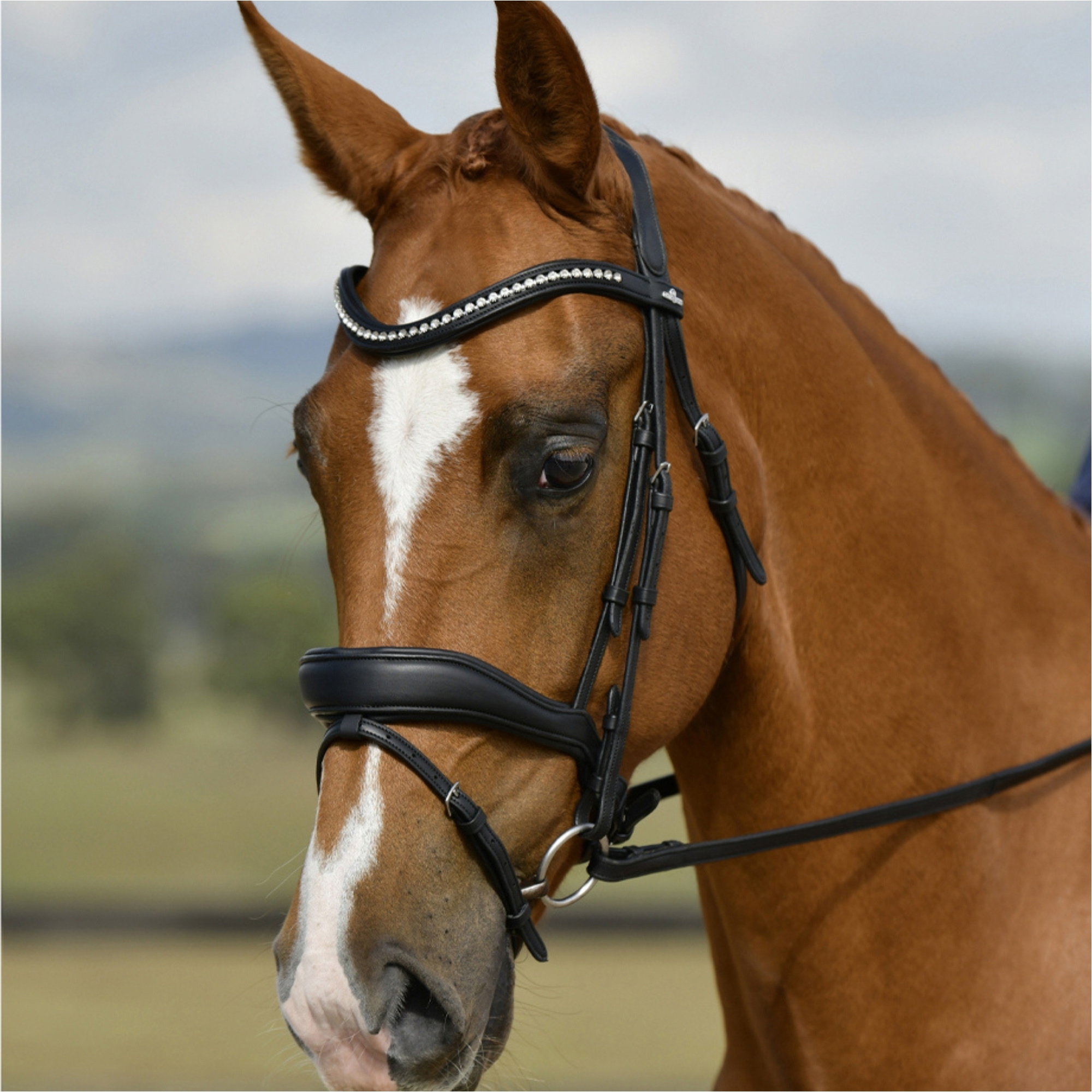 Collegiate Comfitec Opulux Padded Dressage Bridle 102519200 - Black